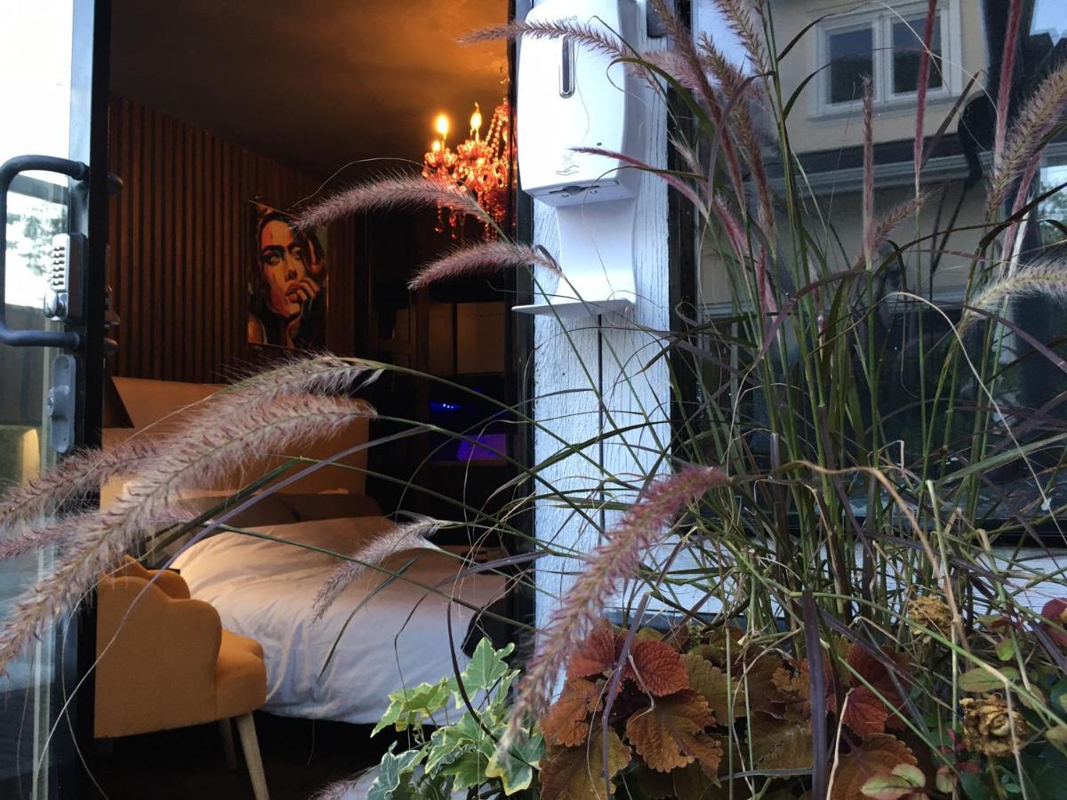 溫哥華Style Basement公寓 外观 照片
